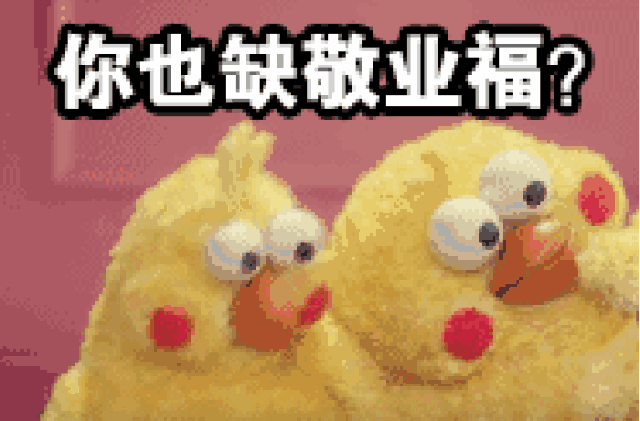 【濟(jì)寧大運(yùn)河駕?！咳鸹⒂麓?，學(xué)車鉅惠來襲！(圖7)