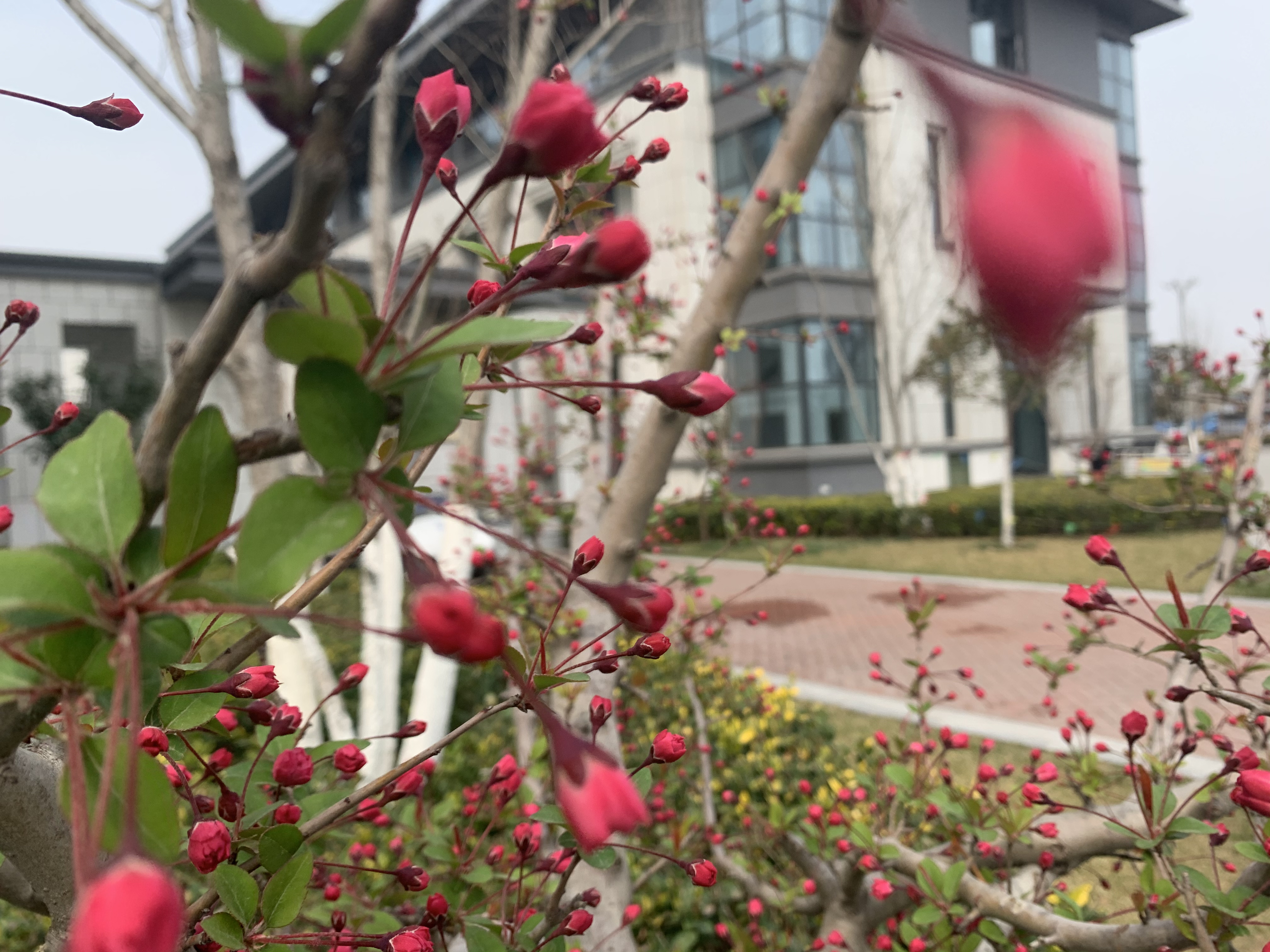 【濟寧大運河駕?！颗c春遇，與疫分 (圖4)