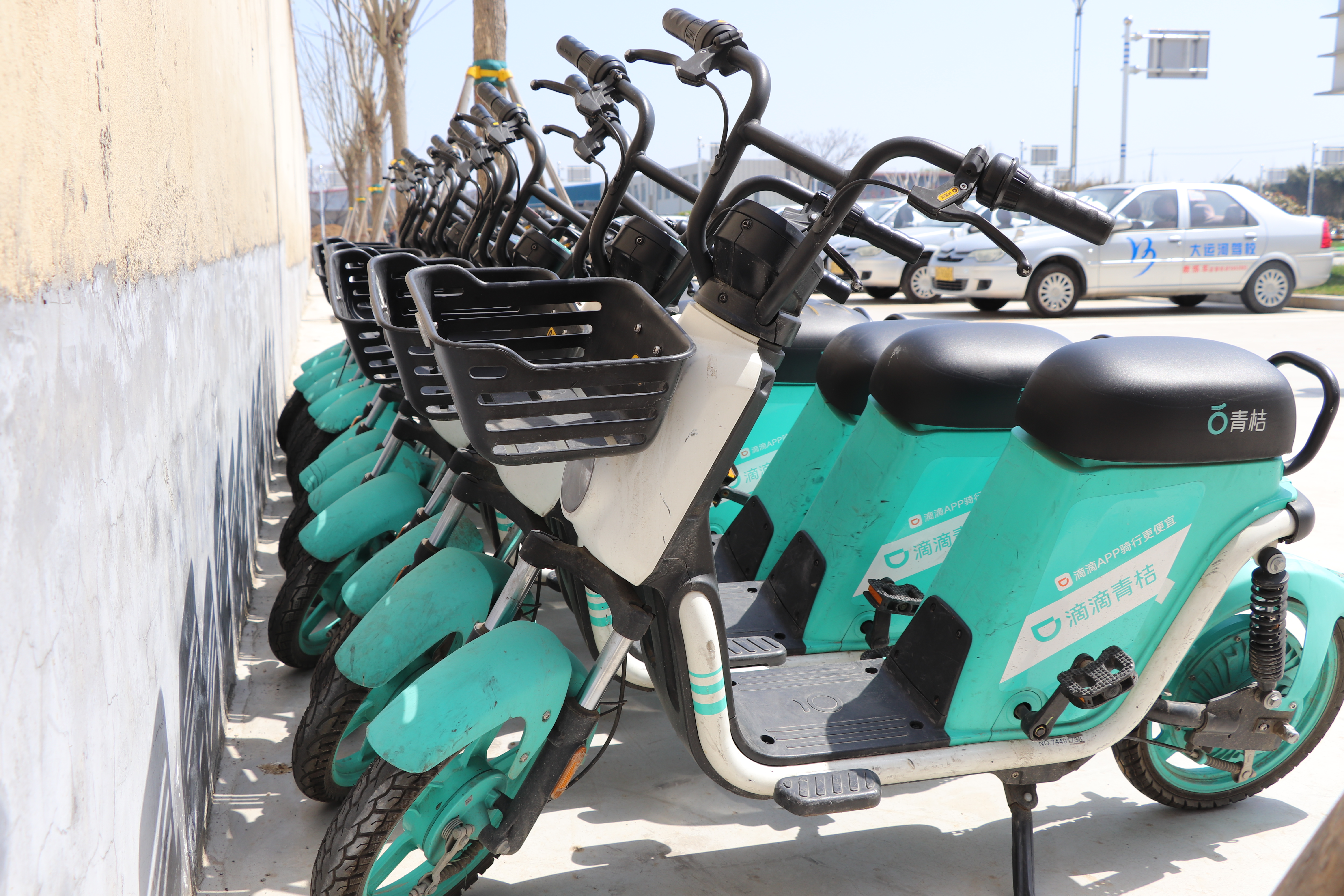 “青桔單車”時尚風(fēng)刮進(jìn)駕校，Are you ready? (圖1)