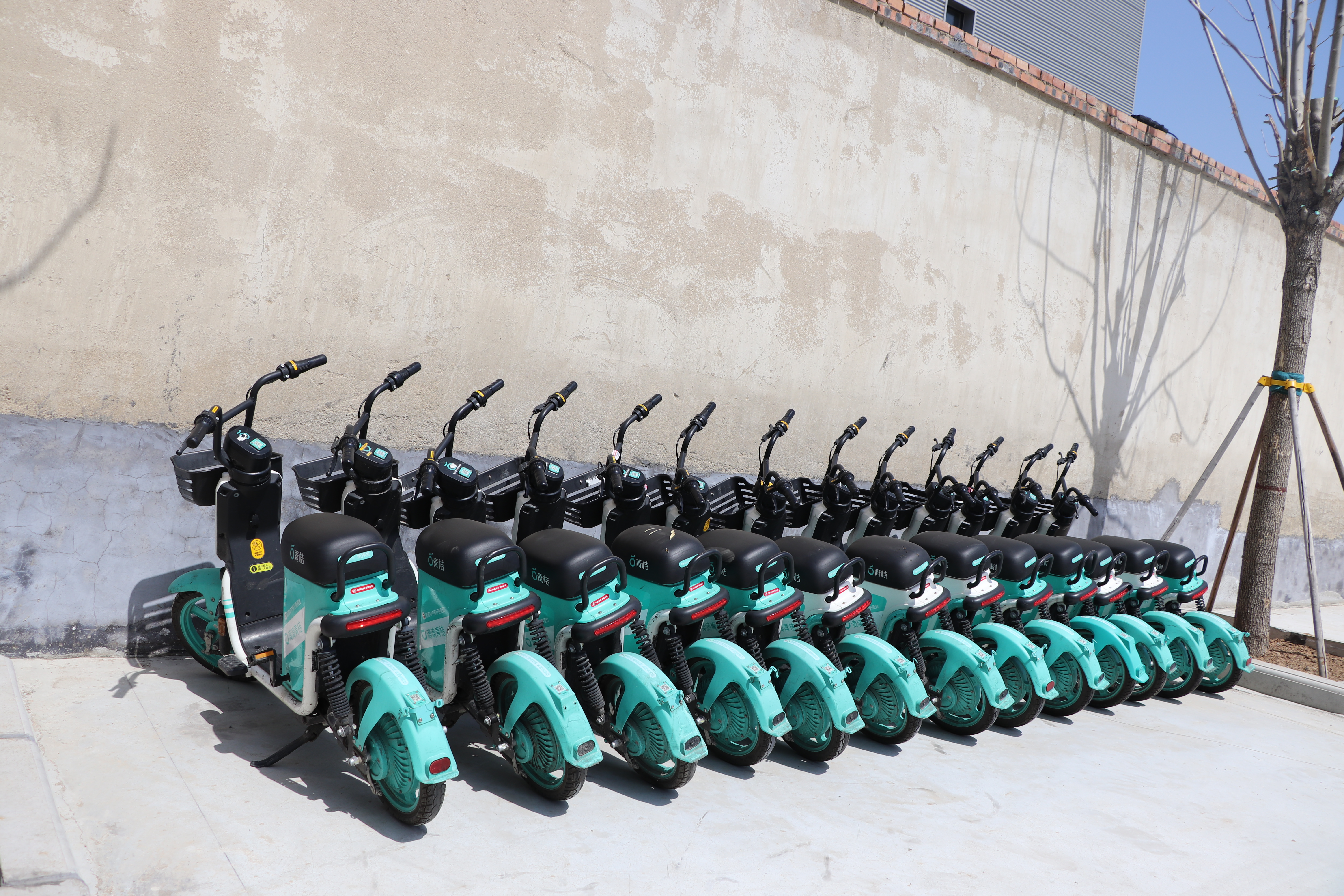 “青桔單車”時尚風(fēng)刮進(jìn)駕校，Are you ready? (圖2)