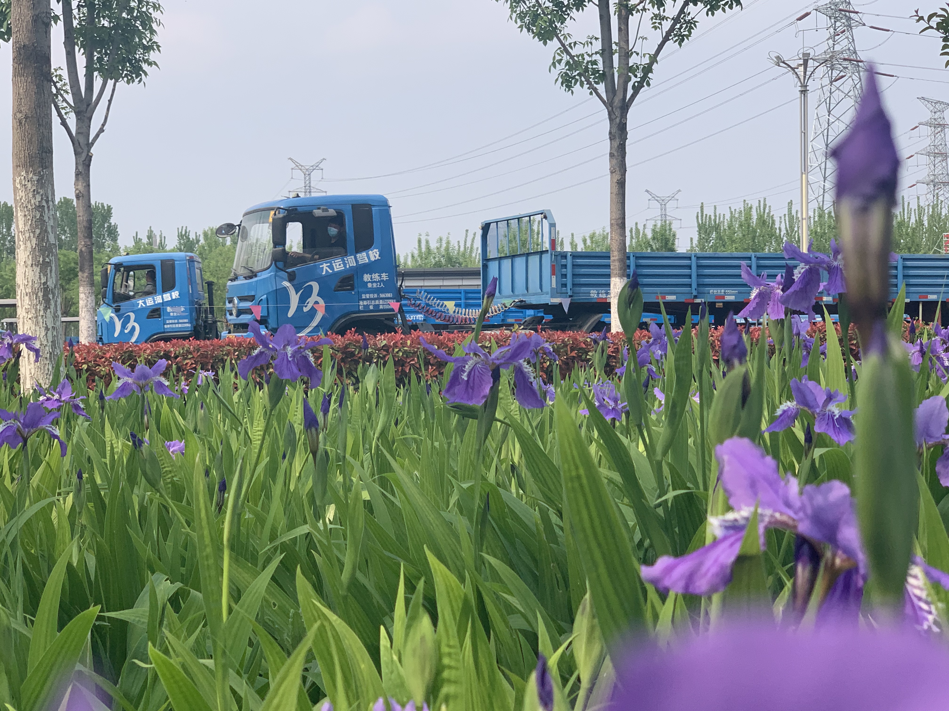 【濟寧大運河駕校】新規(guī)實施后駕駛證實習(xí)期到底還有沒有？ (圖6)