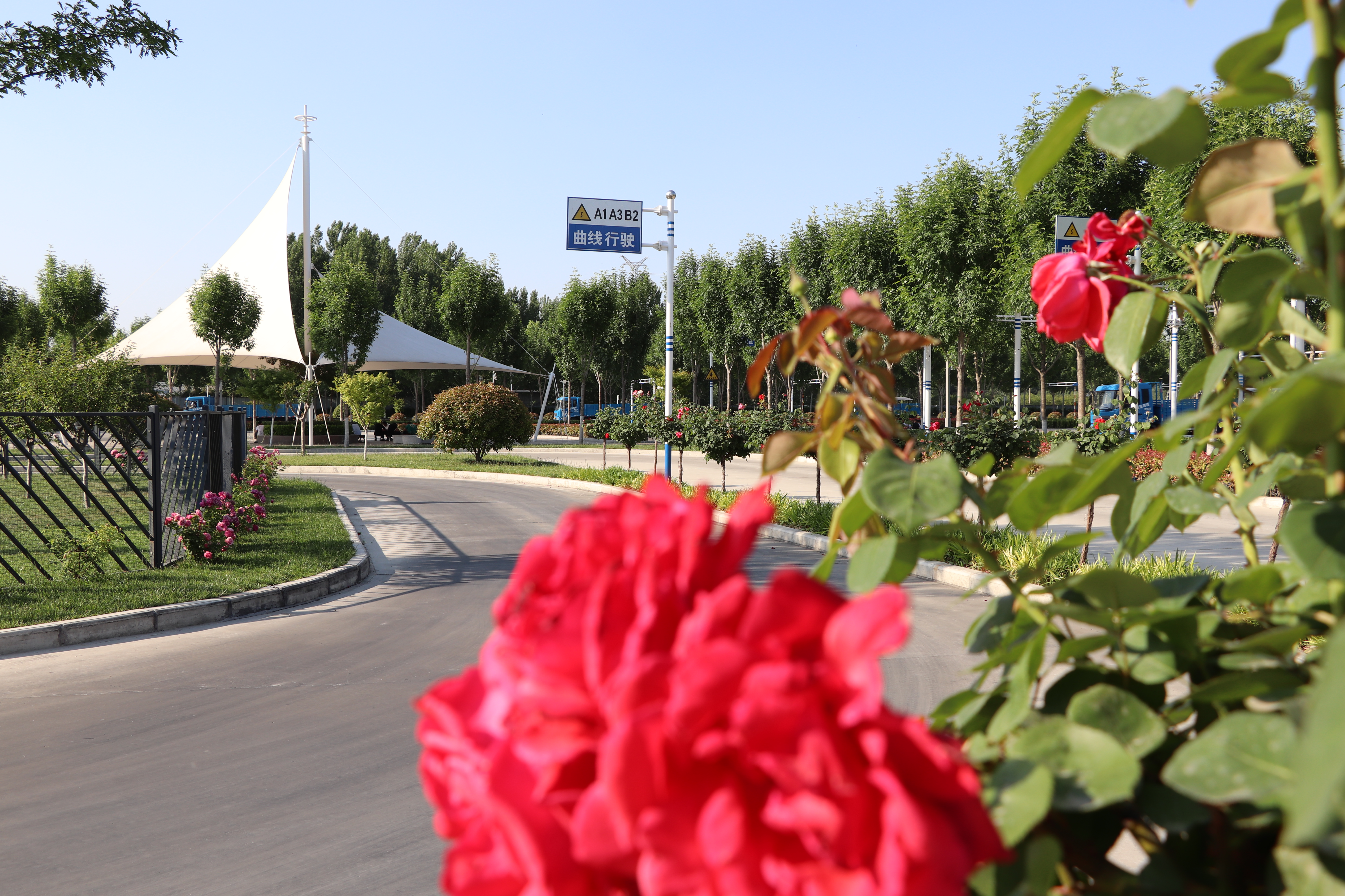 【濟寧大運河駕校】一本駕照，是送給孩子最好的成人禮物~ (圖2)