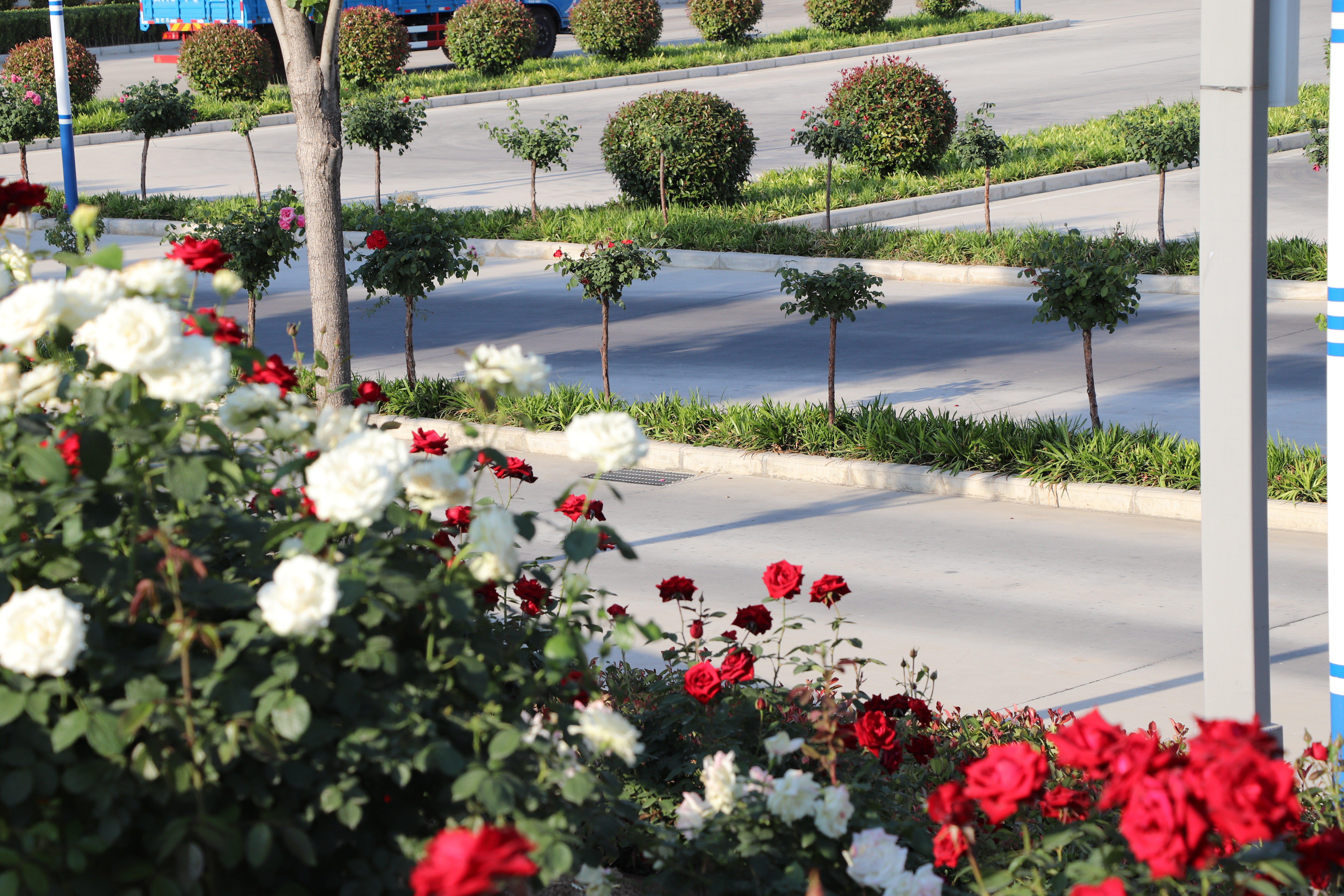 【濟寧大運河駕校】一本駕照，是送給孩子最好的成人禮物~ (圖8)