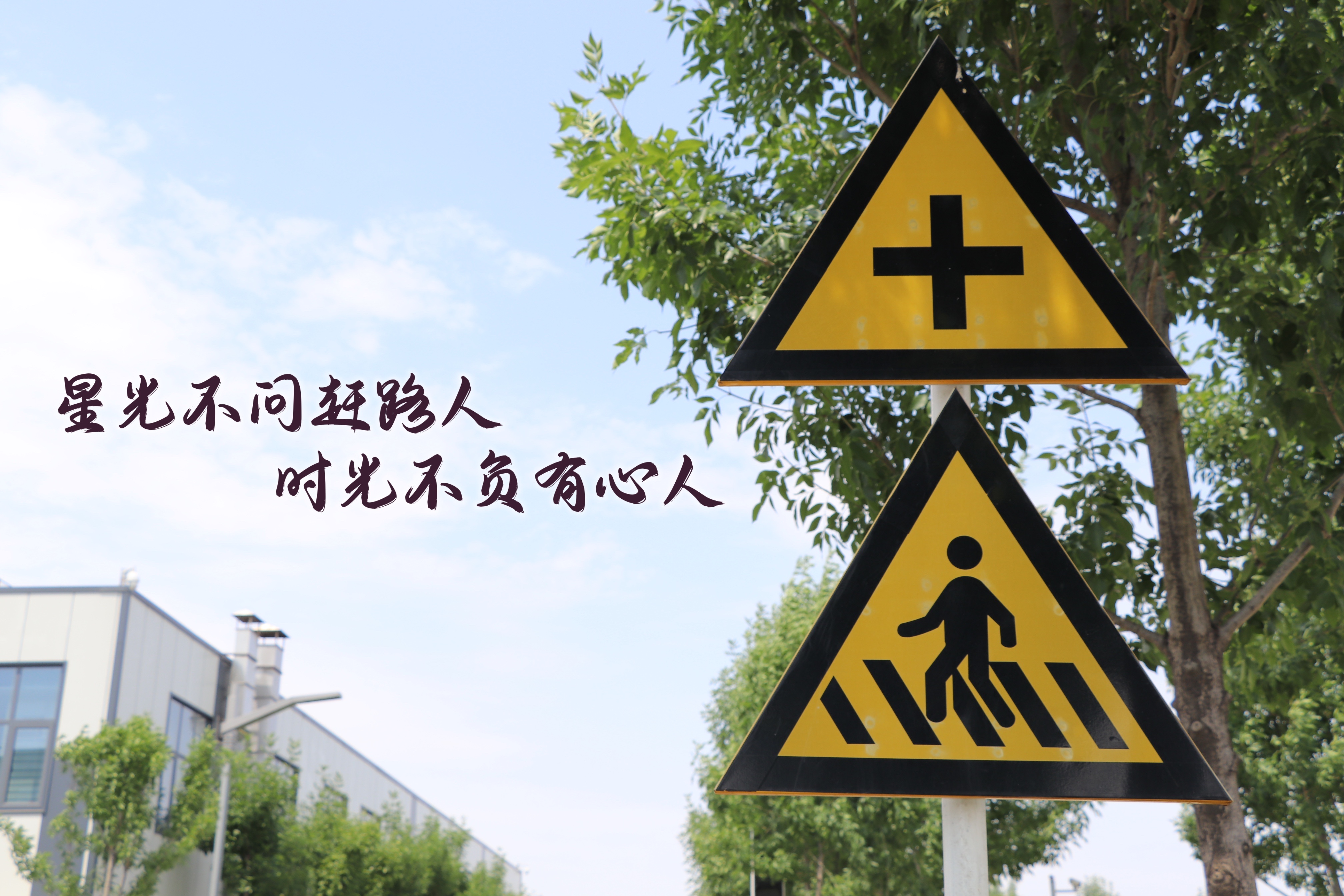 【濟寧大運河駕?！壳の炊ǎ阶晕覠o悔青春！(圖2)