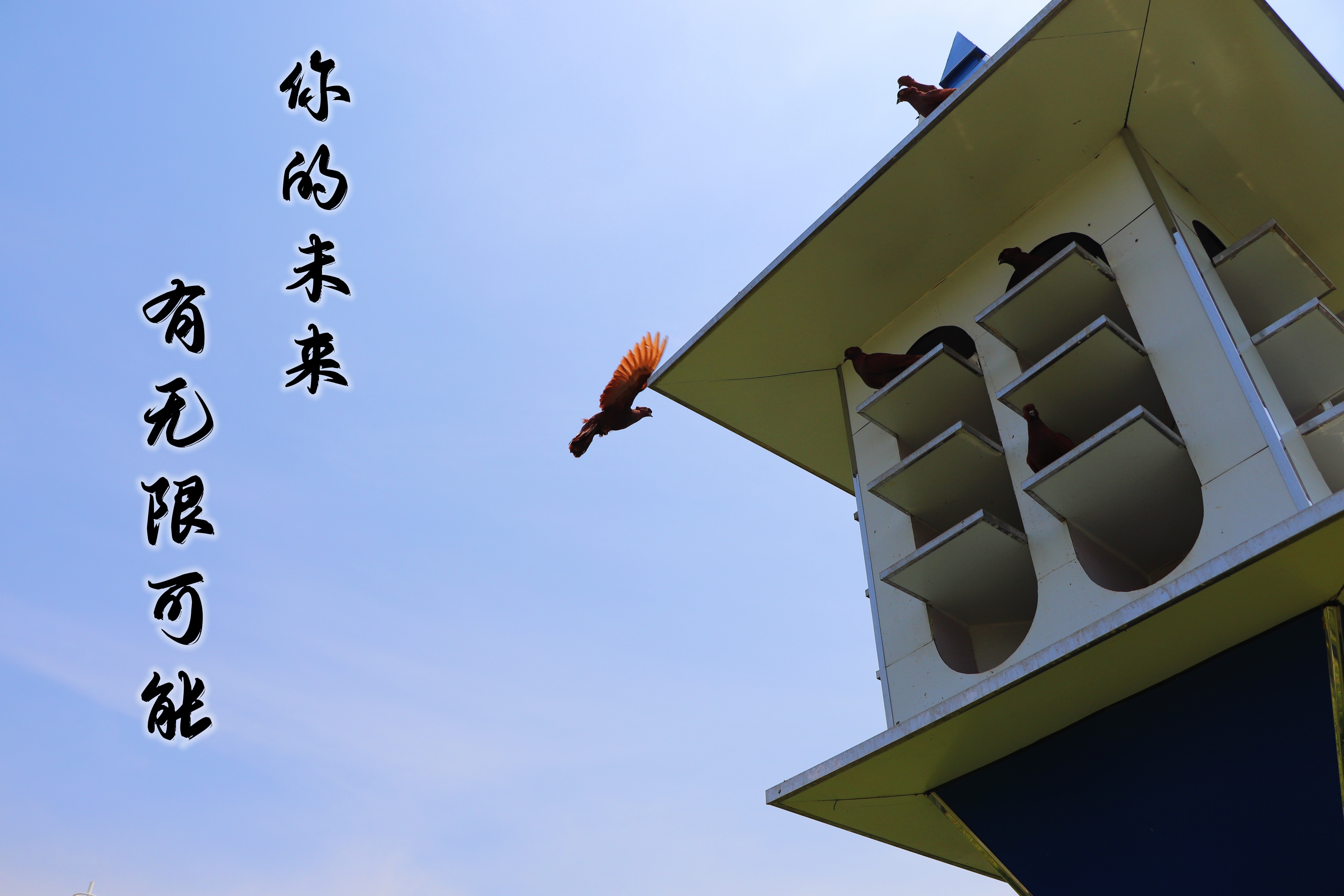 【濟寧大運河駕?！壳の炊?，超越自我無悔青春！(圖3)