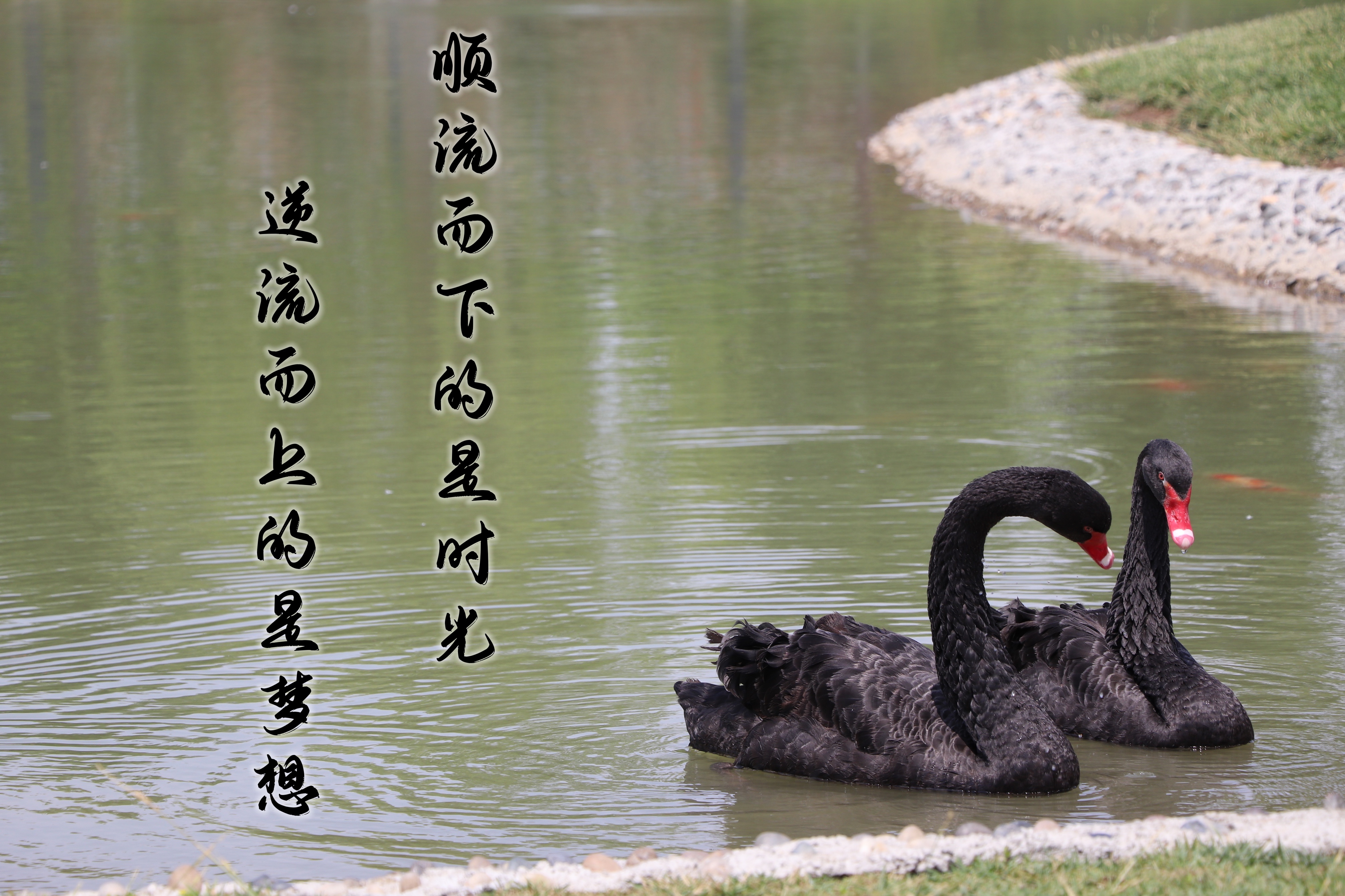 【濟寧大運河駕?！壳の炊?，超越自我無悔青春！(圖5)