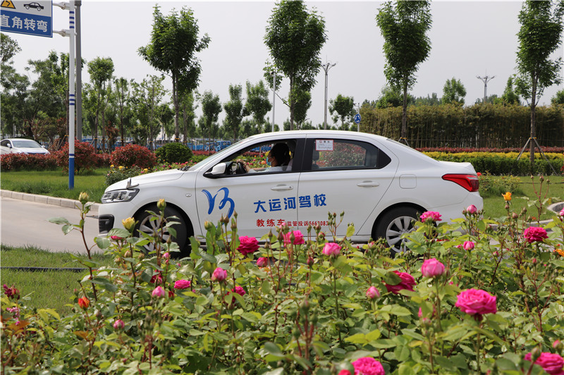 【濟(jì)寧大運(yùn)河駕?！繉W(xué)小車選C1還是C2？別糾結(jié)，看這里~(圖1)