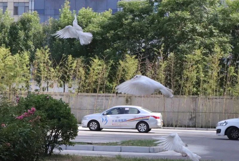 【濟(jì)寧大運(yùn)河駕校】金秋九月學(xué)車季，期待與您的相遇~(圖2)