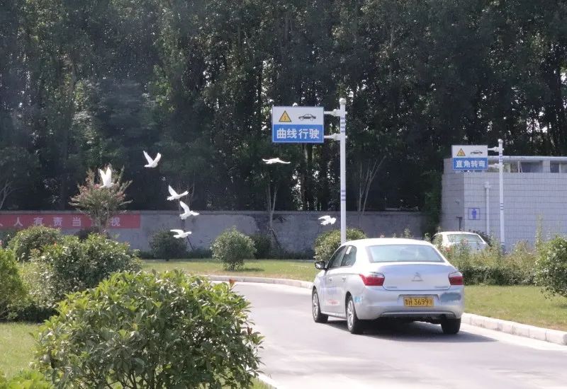 【濟(jì)寧大運(yùn)河駕校】金秋九月學(xué)車季，期待與您的相遇~(圖3)