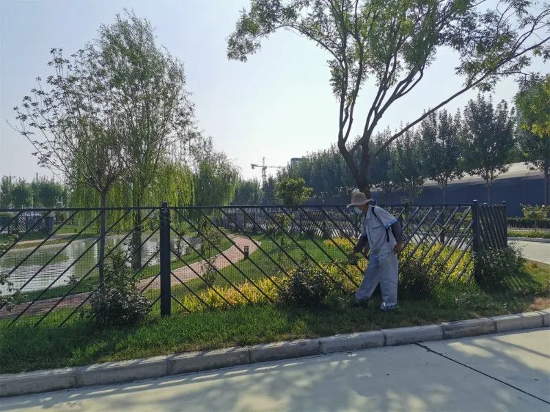 【濟寧大運河駕?！棵篮脤⒅羱 “凈”待復(fù)學！(圖9)