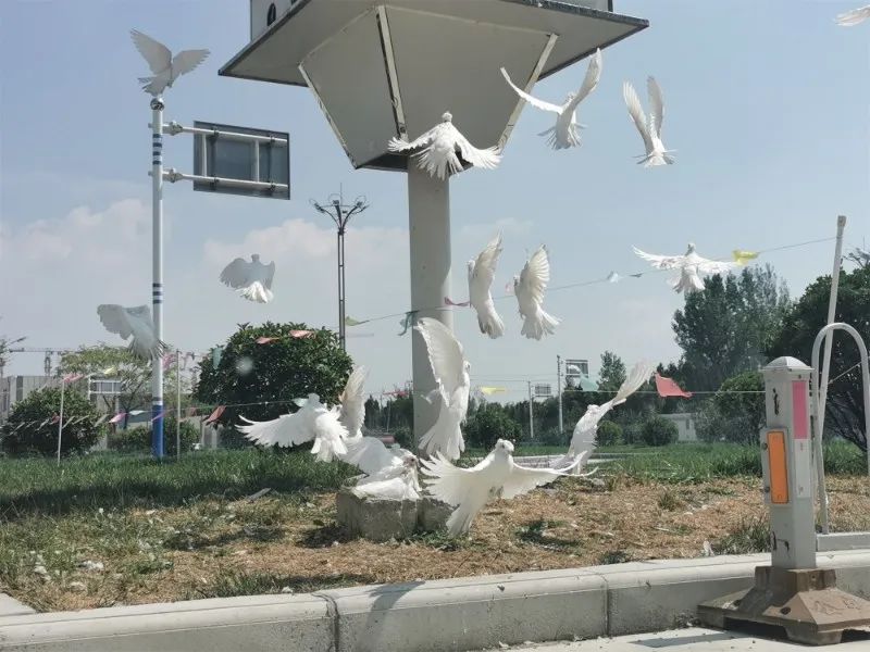 【濟寧大運河駕?！棵篮脤⒅羱 “凈”待復(fù)學！(圖12)