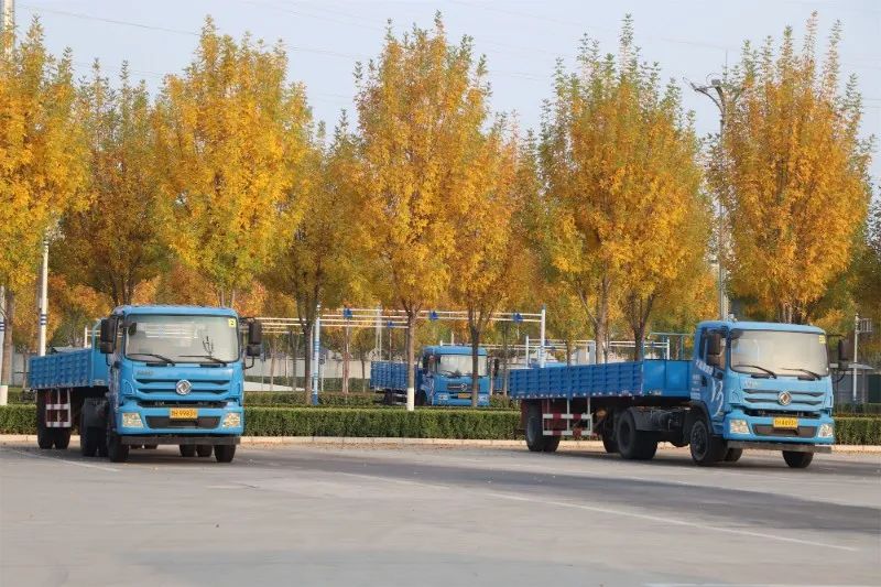 【濟(jì)寧大運河駕?！苛⒍鎰e暮秋，與冬相擁~(圖3)