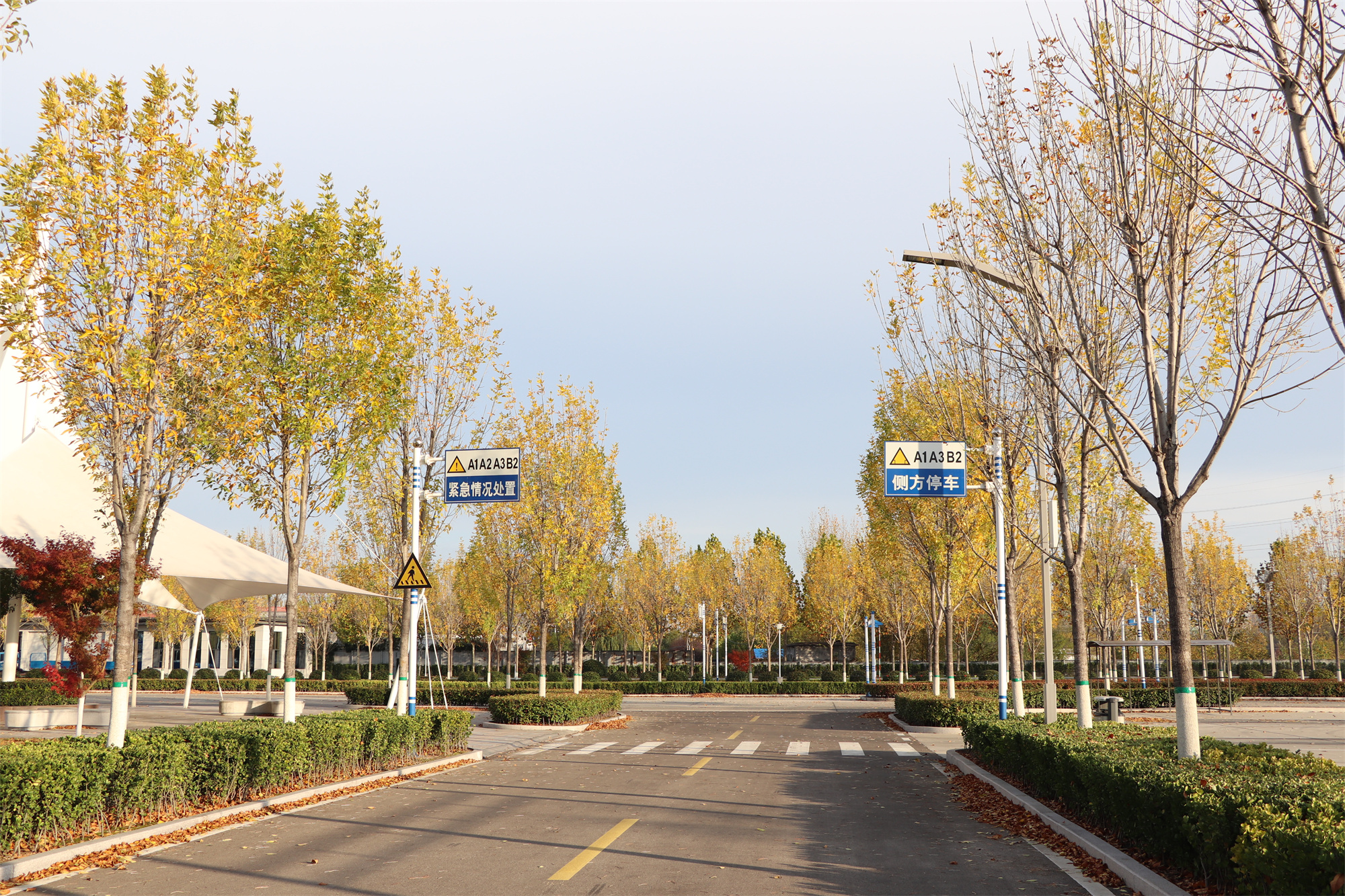 【濟(jì)寧大運(yùn)河駕校】捕捉駕校亮麗風(fēng)景，定格最美初冬校園~(圖10)