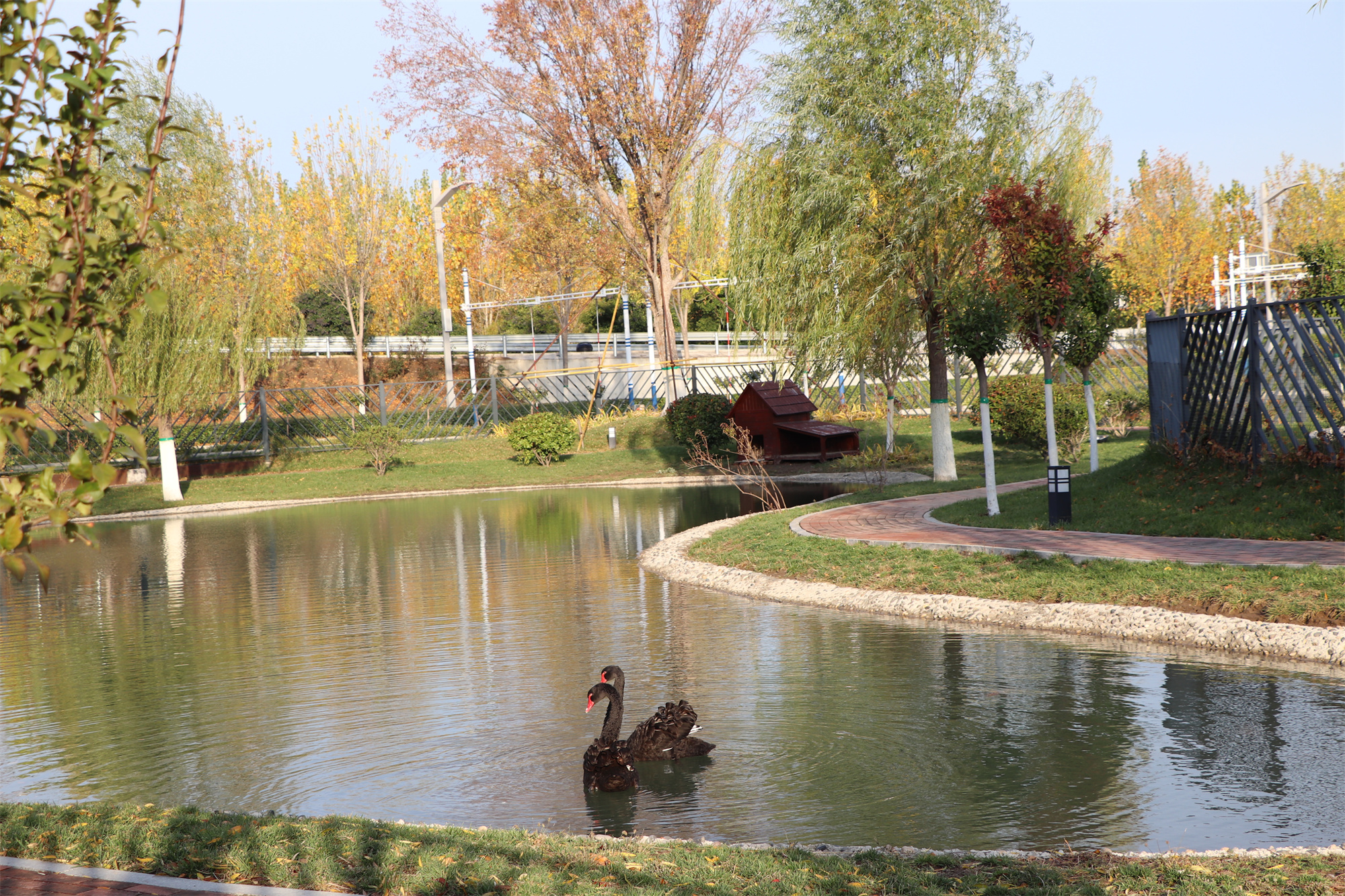 【濟(jì)寧大運(yùn)河駕?！坎蹲今{校亮麗風(fēng)景，定格最美初冬校園~(圖12)