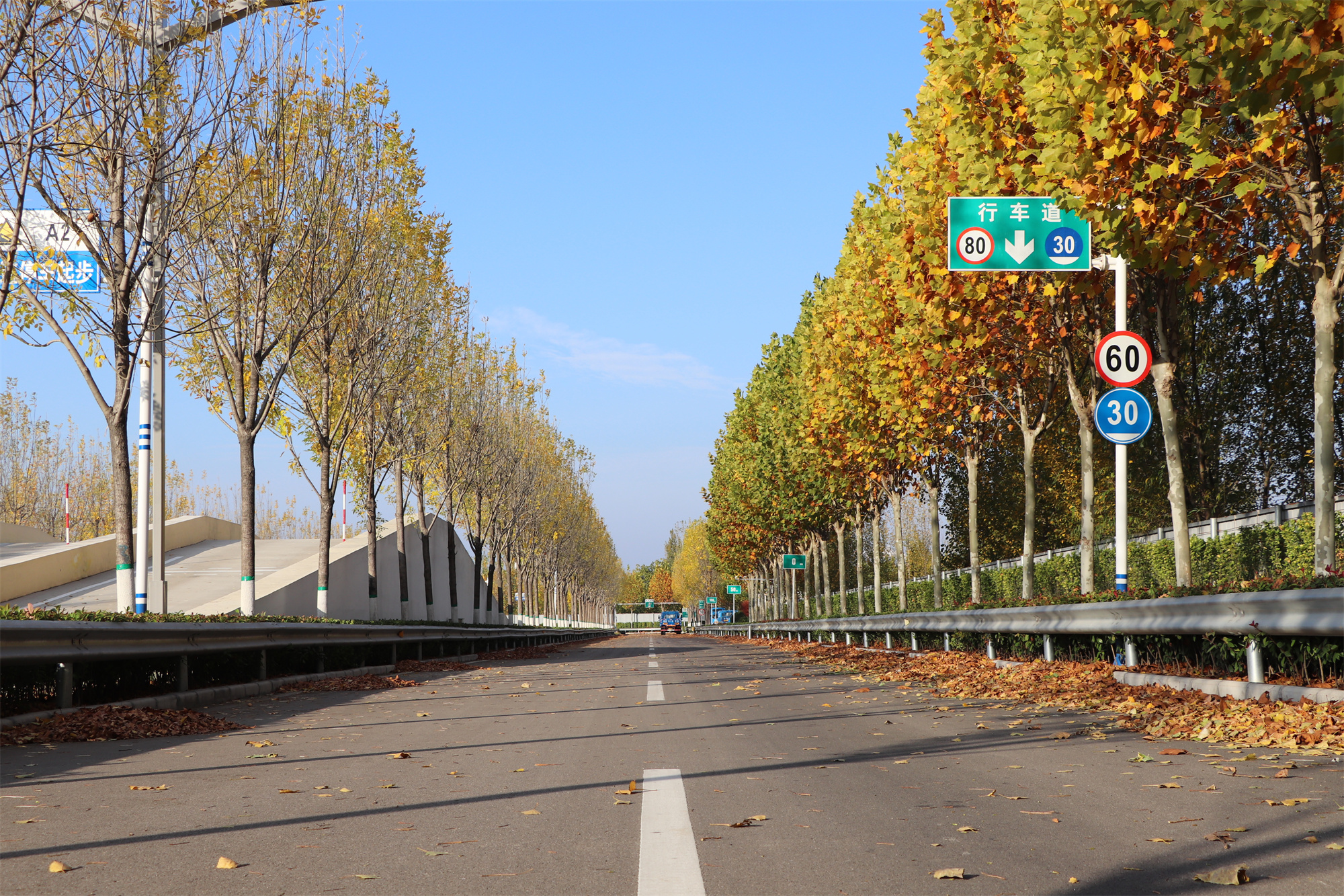 【濟(jì)寧大運(yùn)河駕?！坎蹲今{校亮麗風(fēng)景，定格最美初冬校園~(圖14)