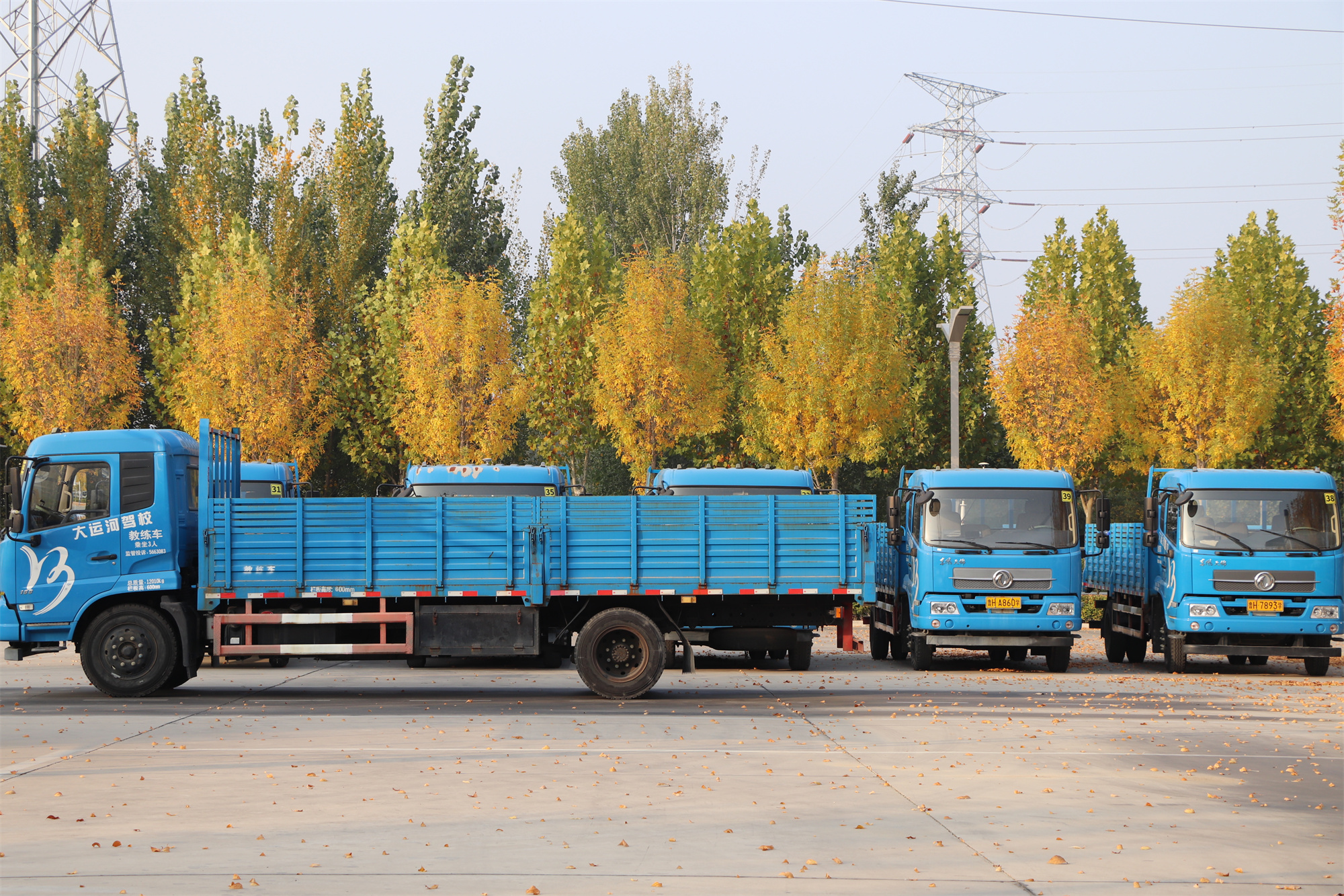 【濟(jì)寧大運(yùn)河駕?！坎蹲今{校亮麗風(fēng)景，定格最美初冬校園~(圖2)