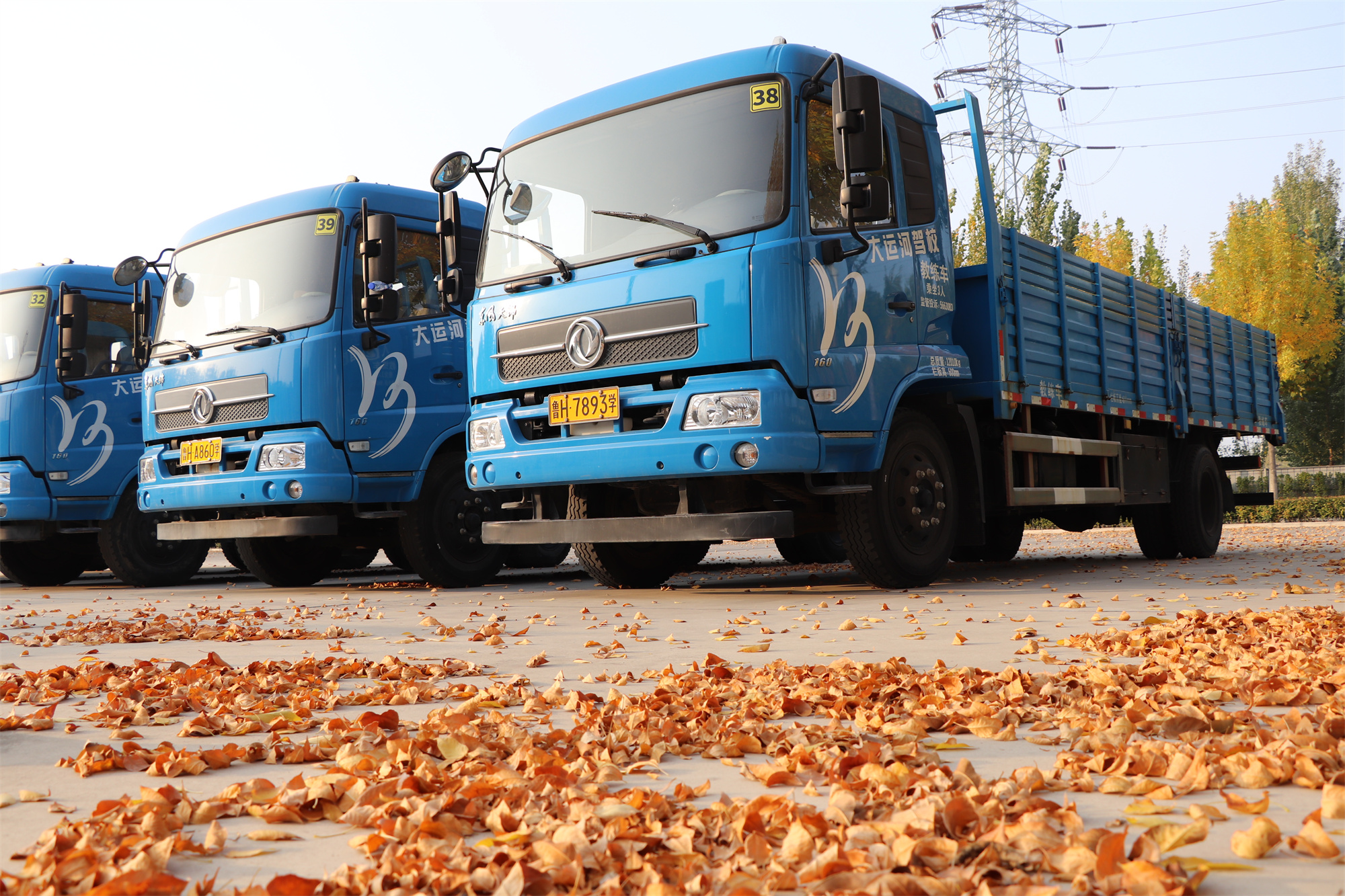 【濟(jì)寧大運(yùn)河駕?！坎蹲今{校亮麗風(fēng)景，定格最美初冬校園~(圖4)