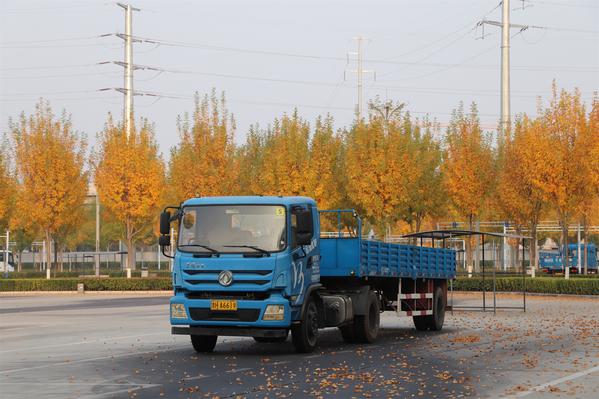 【濟(jì)寧大運(yùn)河駕?！坎蹲今{校亮麗風(fēng)景，定格最美初冬校園~(圖6)