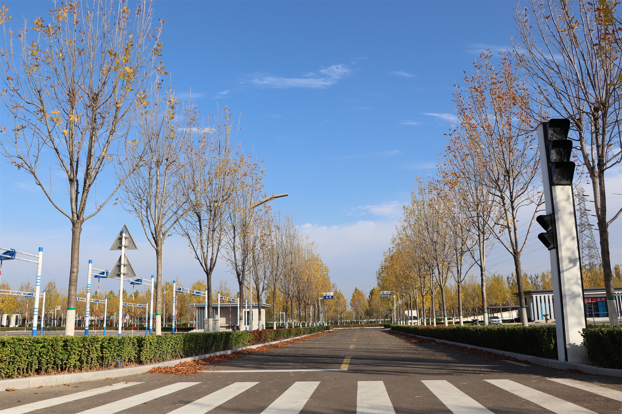 【濟(jì)寧大運(yùn)河駕?！坎蹲今{校亮麗風(fēng)景，定格最美初冬校園~(圖17)