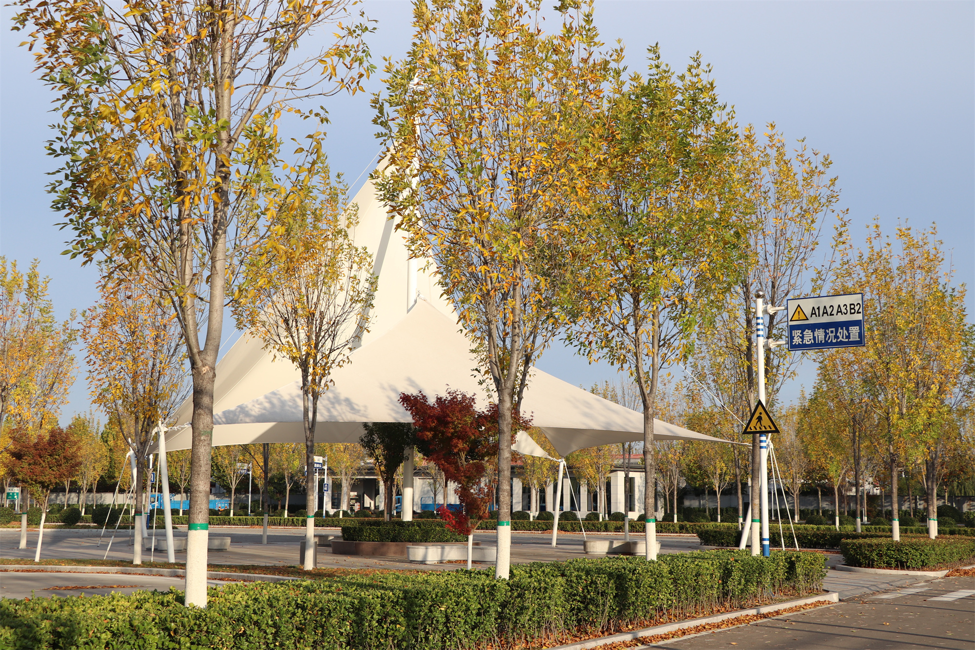 【濟(jì)寧大運(yùn)河駕?！坎蹲今{校亮麗風(fēng)景，定格最美初冬校園~(圖15)