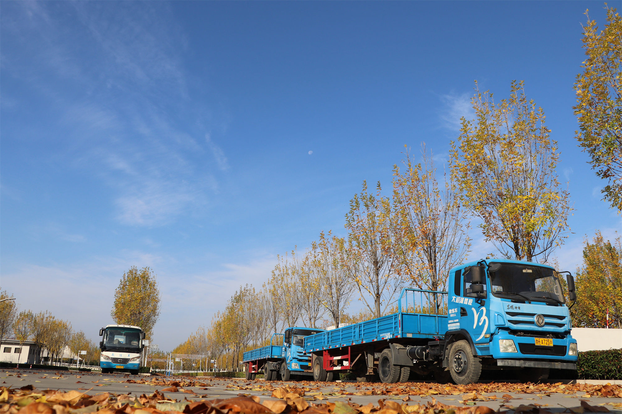 【濟(jì)寧大運(yùn)河駕校】捕捉駕校亮麗風(fēng)景，定格最美初冬校園~(圖20)