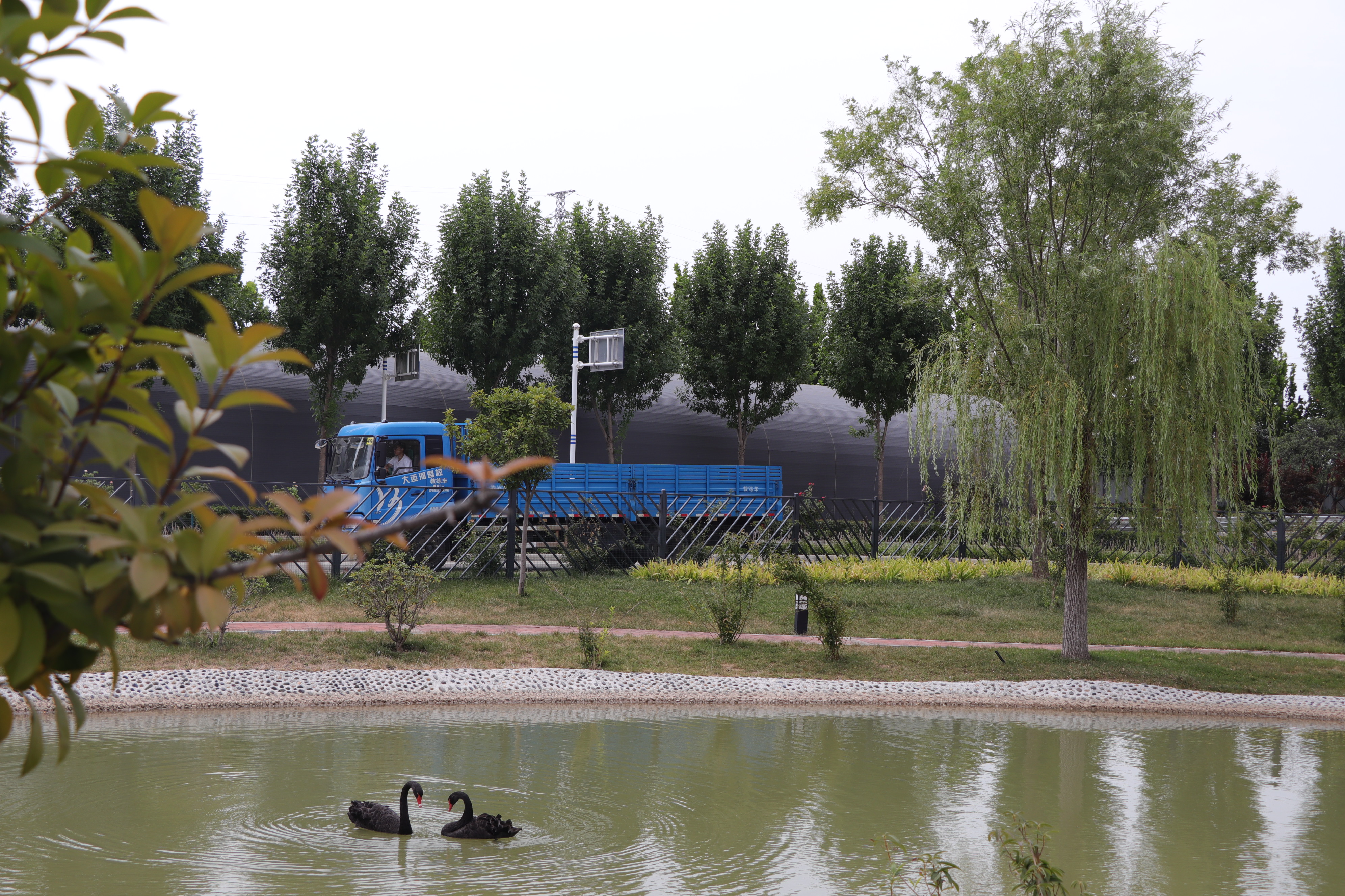 【濟(jì)寧大運(yùn)河駕?！拷袢沼晁荷行?，潤物無聲(圖1)