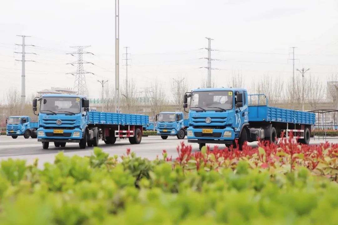 【濟(jì)寧大運(yùn)河駕?！繉Ｗ⒋筌囻{駛培訓(xùn)，45天快速拿證！(圖3)