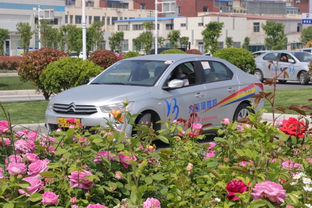 【濟寧大運河駕?！苛⑾呢募疽潦迹瑵M懷期待(圖1)