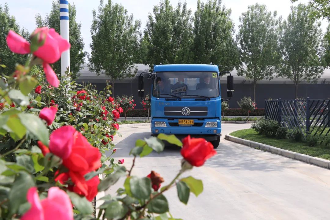 【濟寧大運河駕校】立夏丨夏季伊始，滿懷期待(圖4)