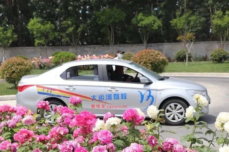 【濟寧大運河駕校】第十屆“學車夏令營”火爆開啟！(圖2)