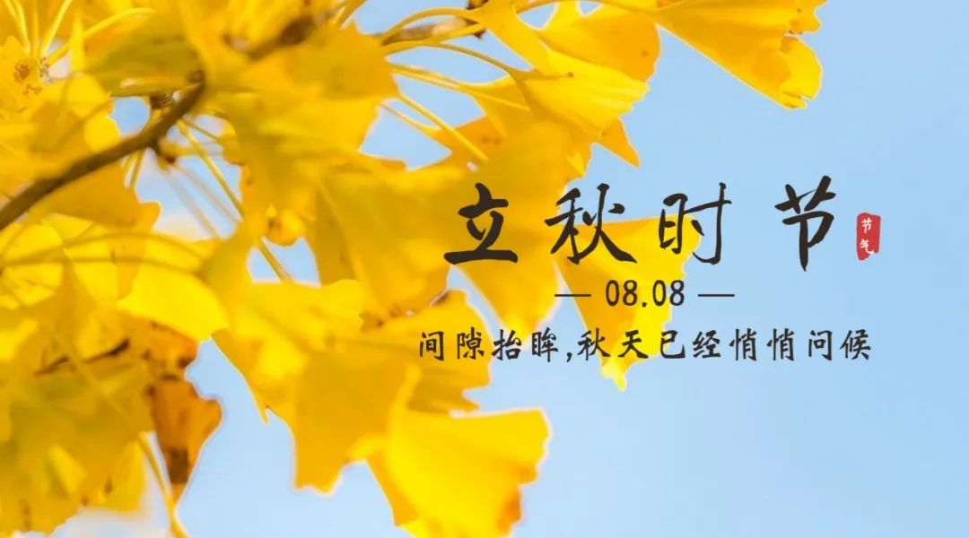 【濟寧大運河駕校】保留夏的熱情，奔向收獲的秋天！(圖3)