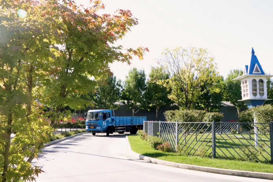 【濟(jì)寧大運(yùn)河駕校】才感晚秋，忽而立冬丨共賞校園初冬美景~(圖2)