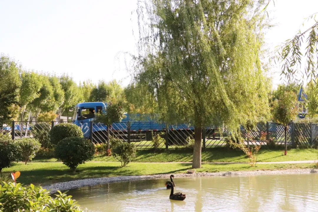 【濟(jì)寧大運(yùn)河駕校】才感晚秋，忽而立冬丨共賞校園初冬美景~(圖5)