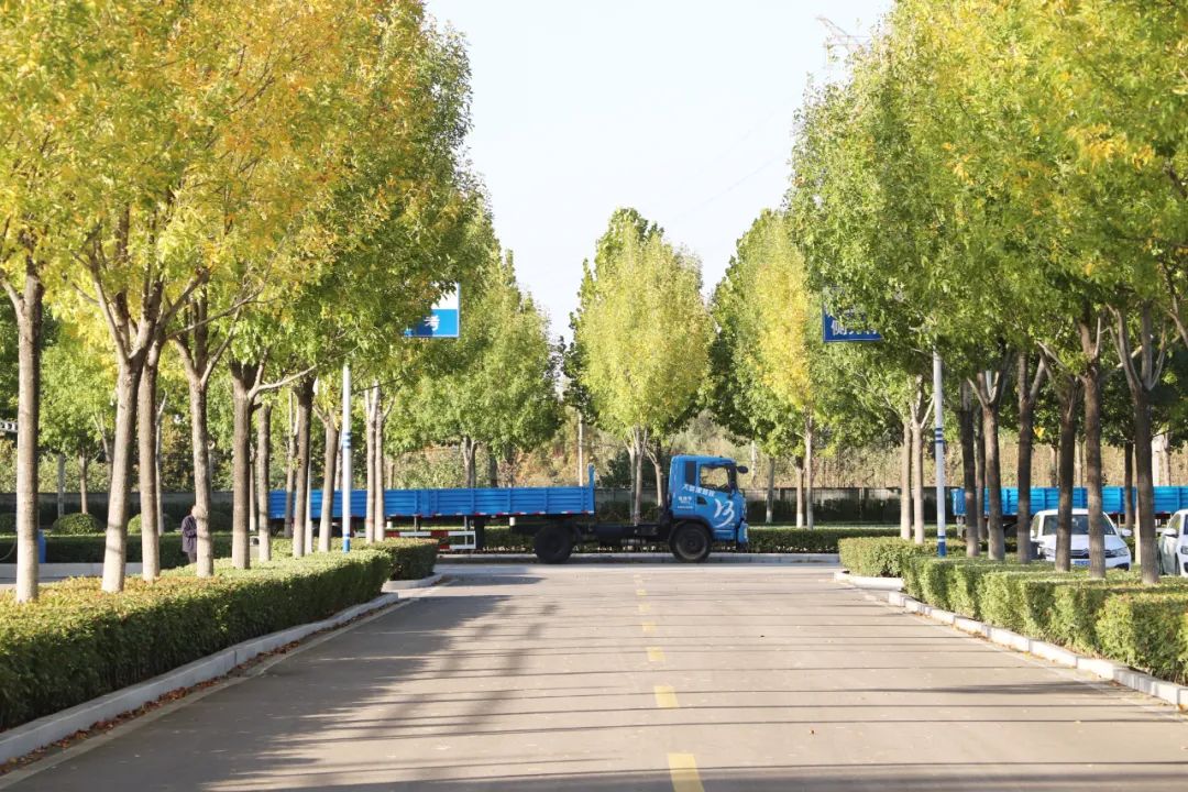 【濟(jì)寧大運(yùn)河駕?！坎鸥型砬?，忽而立冬丨共賞校園初冬美景~(圖4)