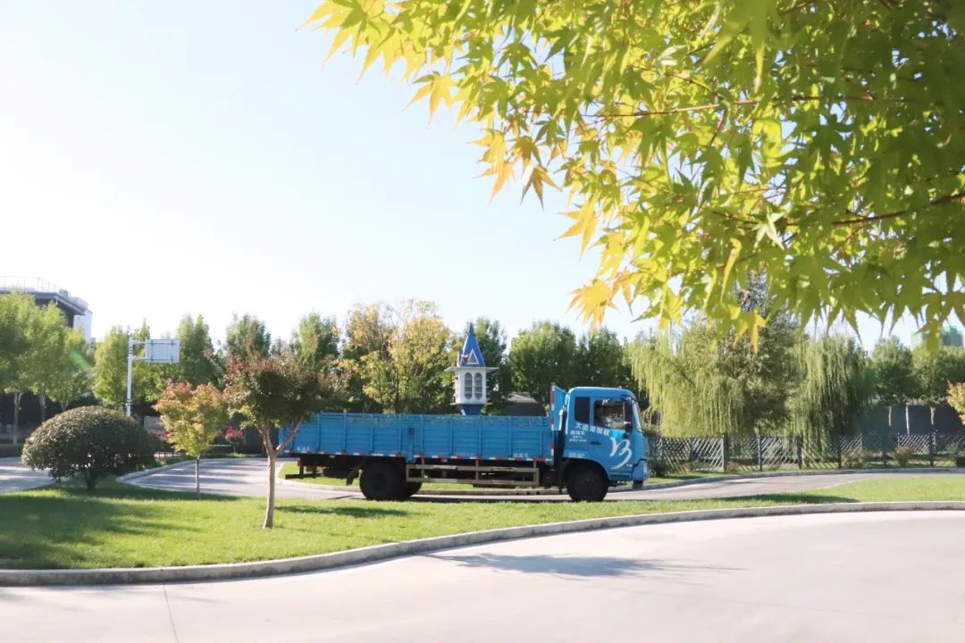 【濟(jì)寧大運(yùn)河駕?！坎鸥型砬铮龆⒍操p校園初冬美景~(圖6)