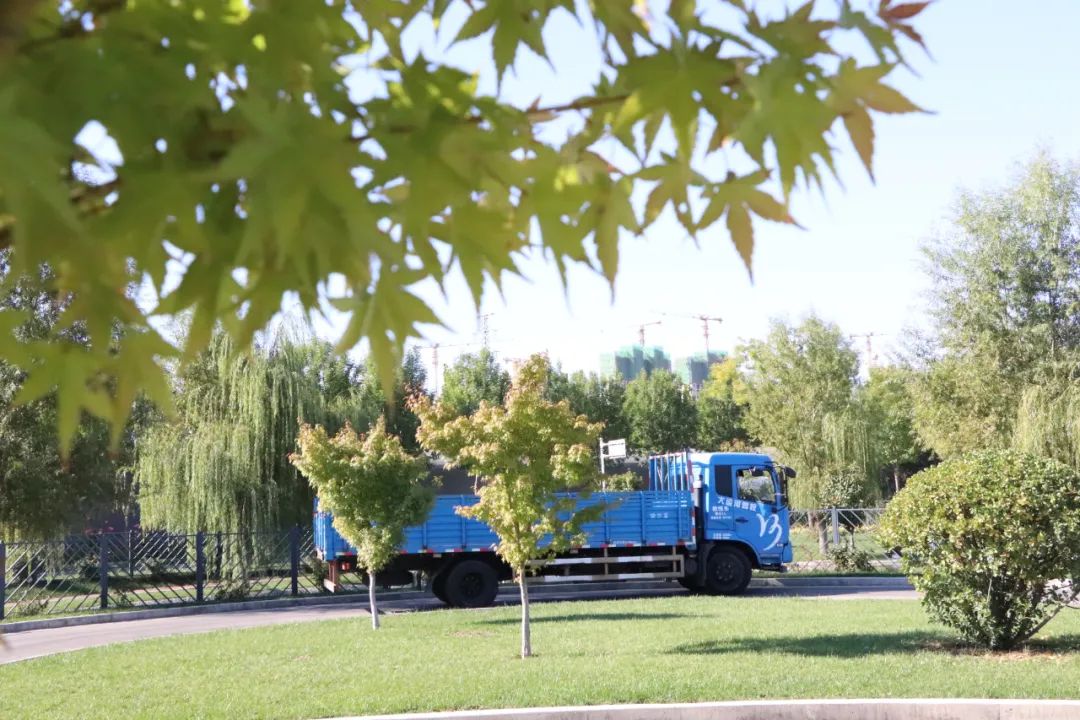 【濟(jì)寧大運(yùn)河駕校】才感晚秋，忽而立冬丨共賞校園初冬美景~(圖11)