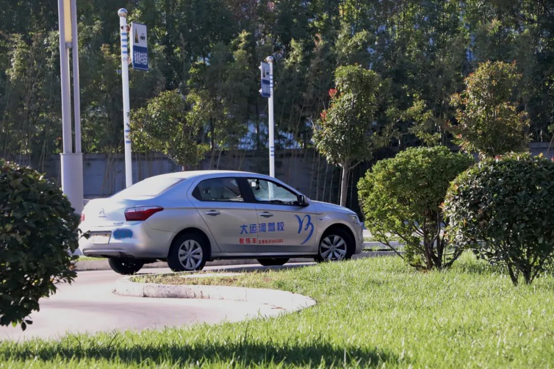 【濟(jì)寧大運(yùn)河駕?！坎鸥型砬?，忽而立冬丨共賞校園初冬美景~(圖10)