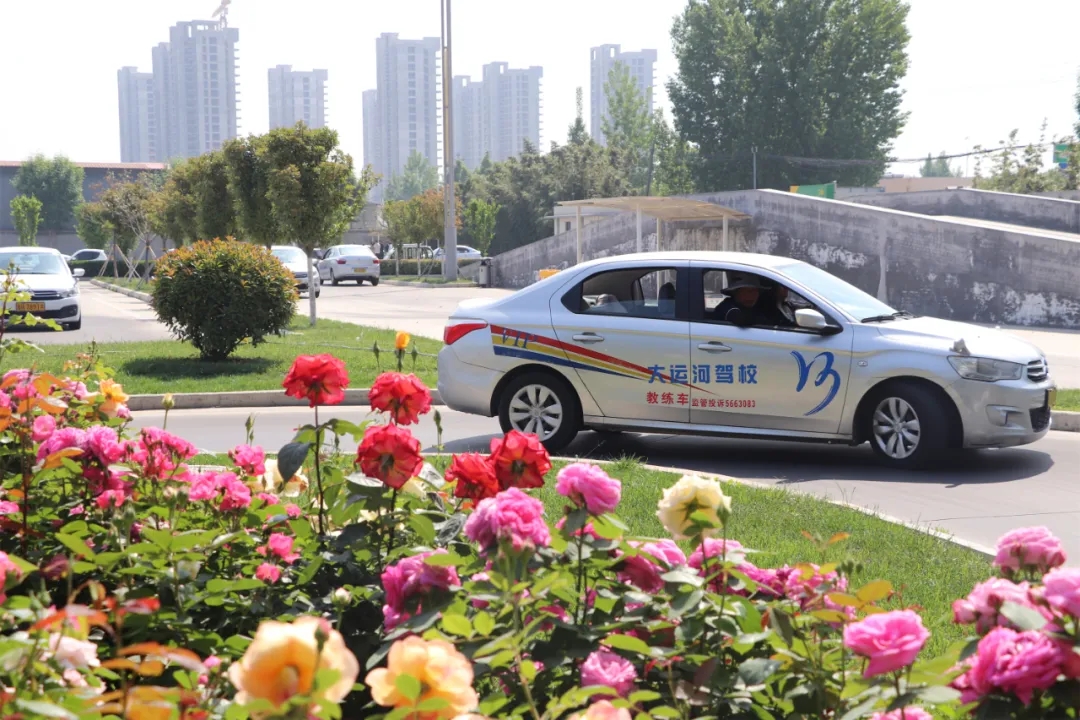 【濟(jì)寧大運(yùn)河駕?！俊俺跸摹毙∶篮茫逶聦W(xué)車正當(dāng)時(shí)~(圖5)