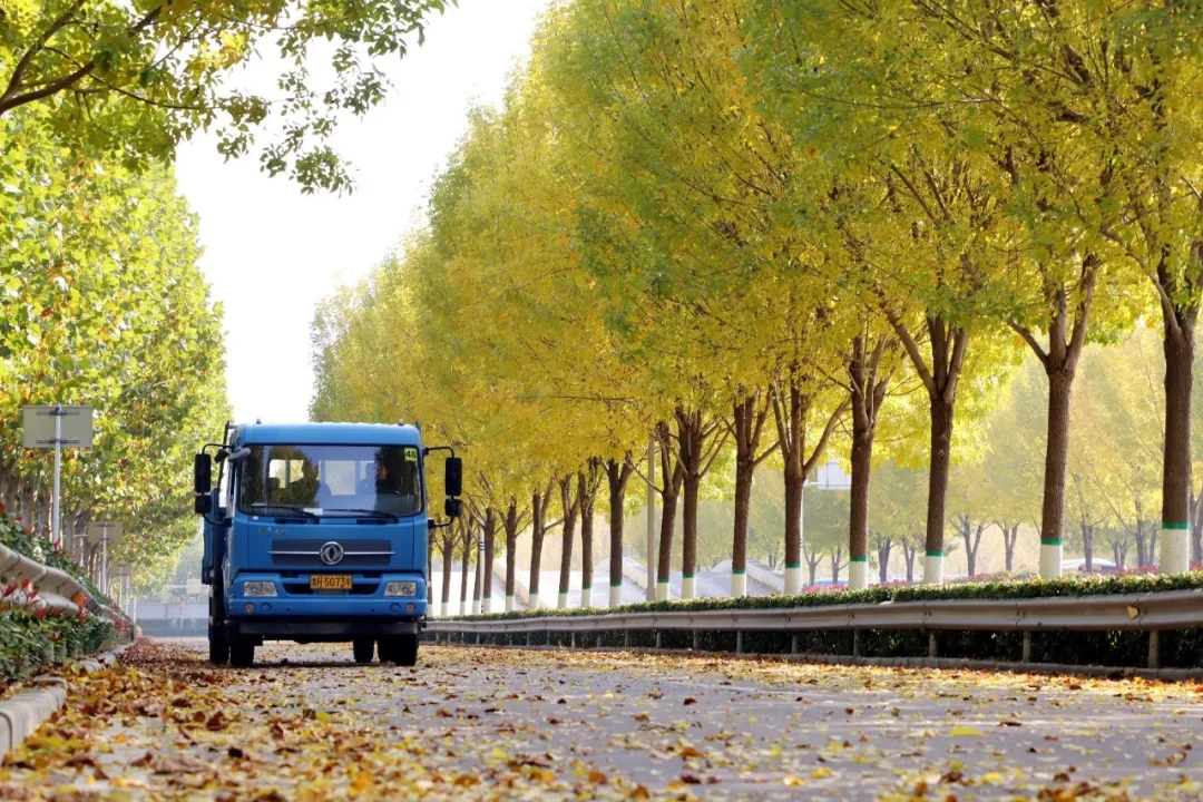 賞校園秋日盛景，享大車班型升級福利——學(xué)車就現(xiàn)在！(圖3)