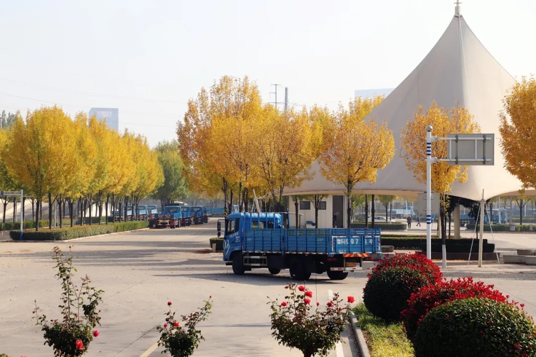 賞校園秋日盛景，享大車班型升級福利——學(xué)車就現(xiàn)在！(圖6)