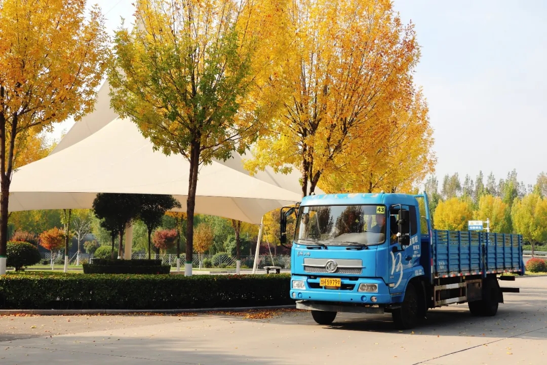 賞校園秋日盛景，享大車班型升級福利——學(xué)車就現(xiàn)在！(圖7)