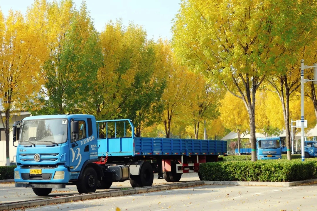 賞校園秋日盛景，享大車班型升級福利——學(xué)車就現(xiàn)在！(圖13)