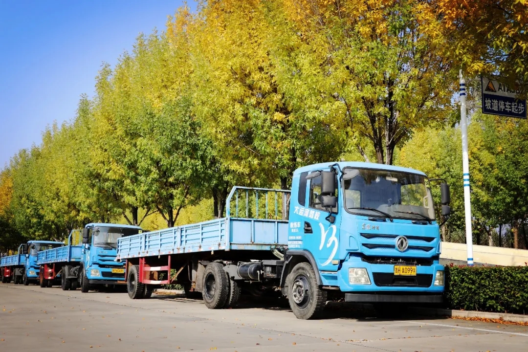 賞校園秋日盛景，享大車班型升級福利——學(xué)車就現(xiàn)在！(圖10)