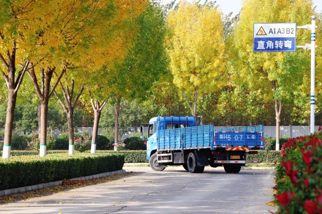 賞校園秋日盛景，享大車班型升級福利——學(xué)車就現(xiàn)在！(圖9)