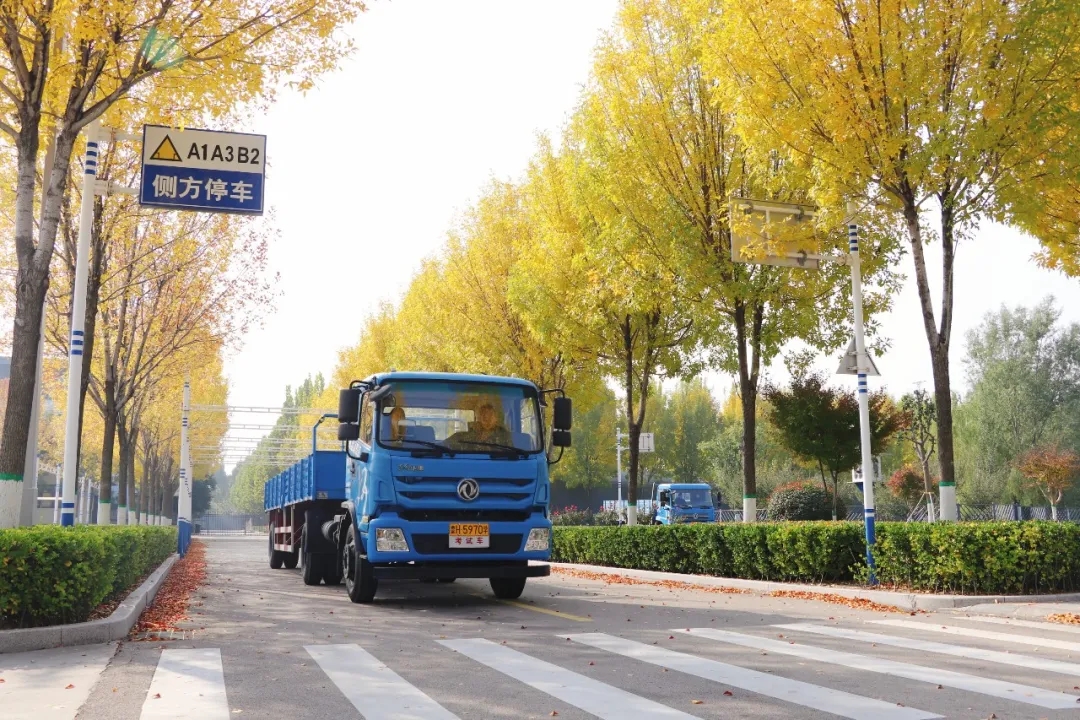 賞校園秋日盛景，享大車班型升級福利——學(xué)車就現(xiàn)在！(圖15)