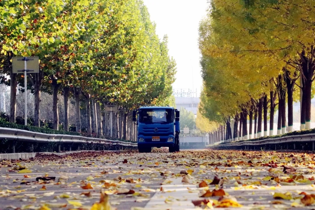 賞校園秋日盛景，享大車班型升級福利——學(xué)車就現(xiàn)在！(圖16)