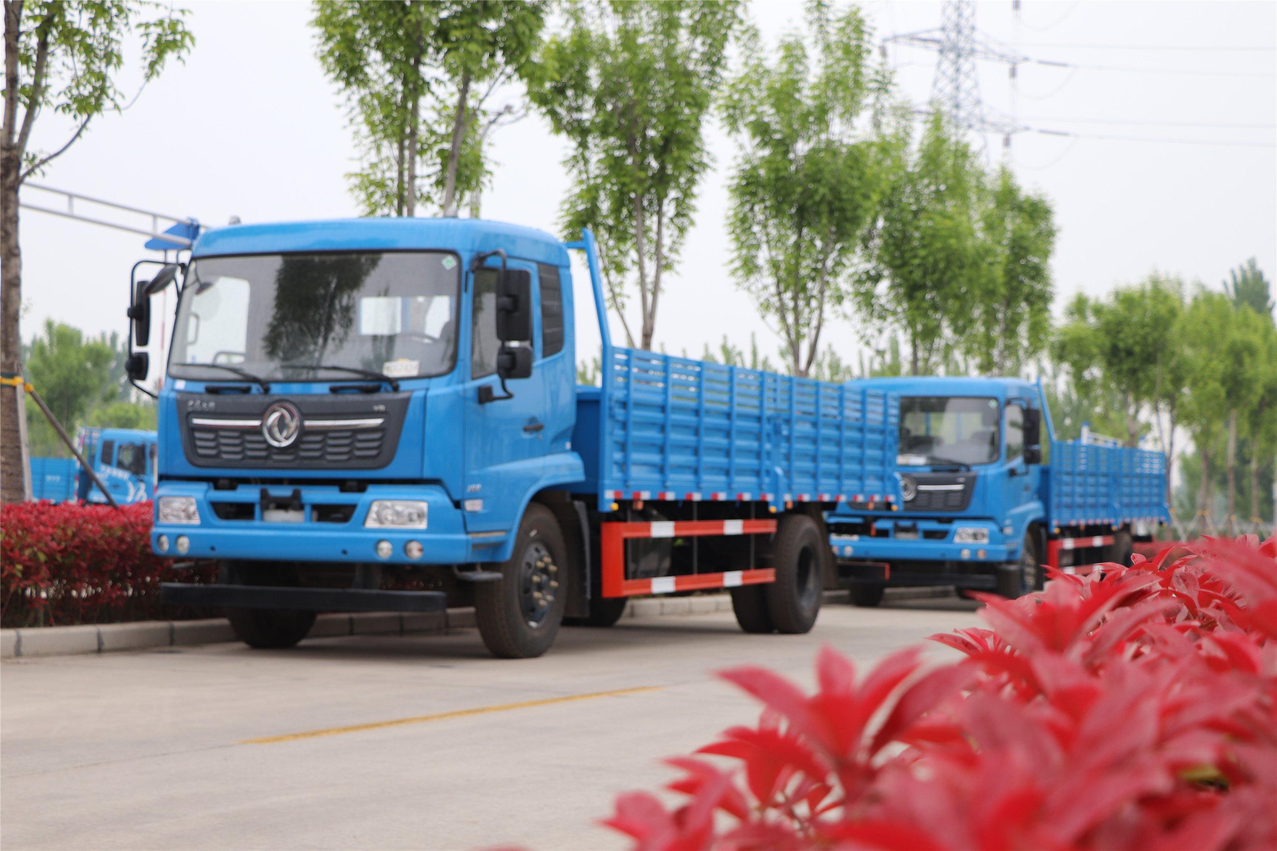 再增新車！助力學員快速拿證。(圖1)