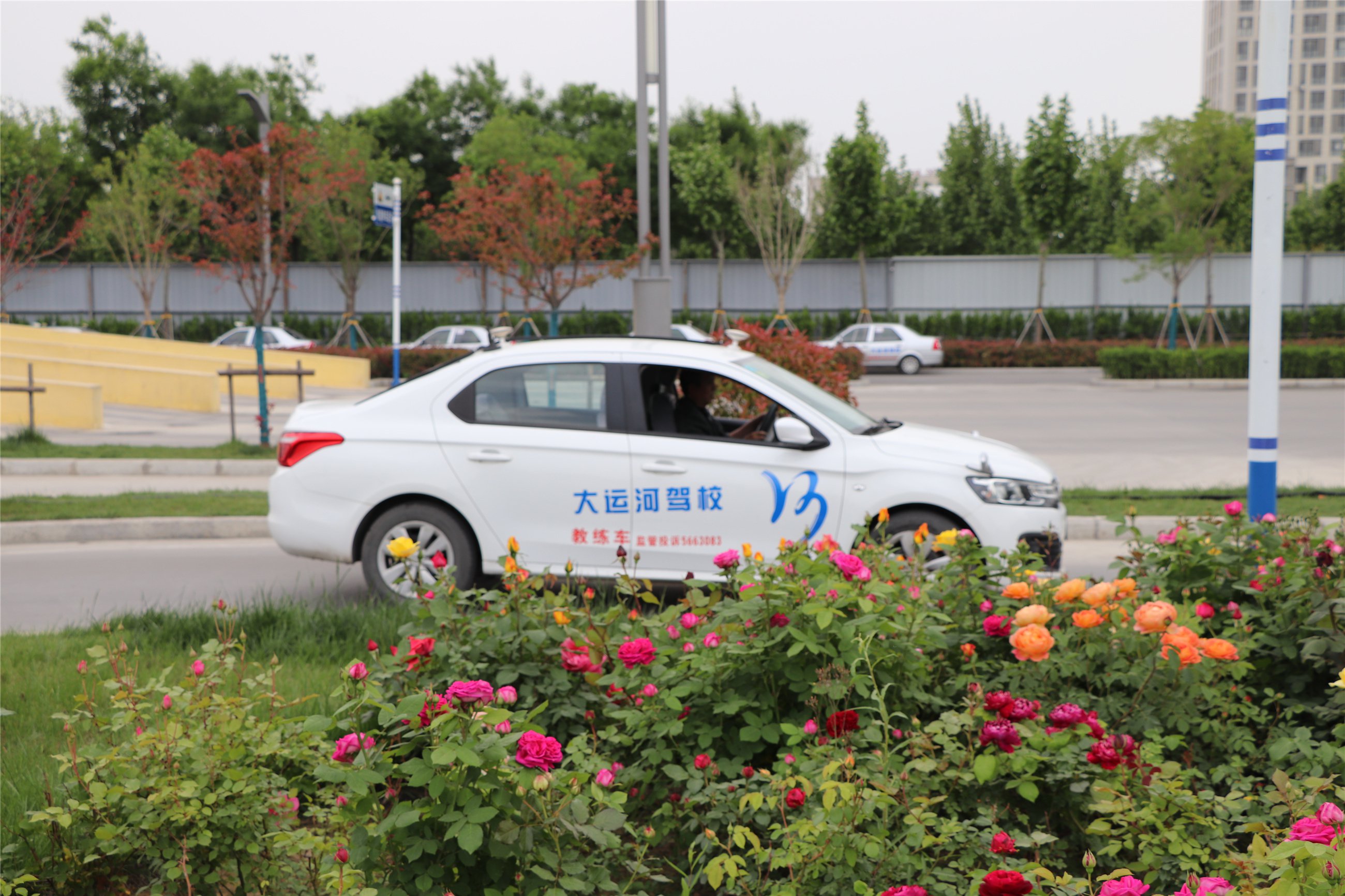 第八屆學(xué)車夏令營火爆開啟！讓利這個夏天！(圖3)